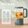 韩国现代（HYUNDAI）养生壶煮茶器办公室小型迷你多功能煮茶壶花茶壶QC-ZC0413绿色