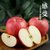洛川红富士苹果12颗装(75- 80mm)4.5-5斤第3张高清大图