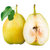 皮亚曼新疆一级库尔勒香梨6.2kg 优选水果第3张高清大图