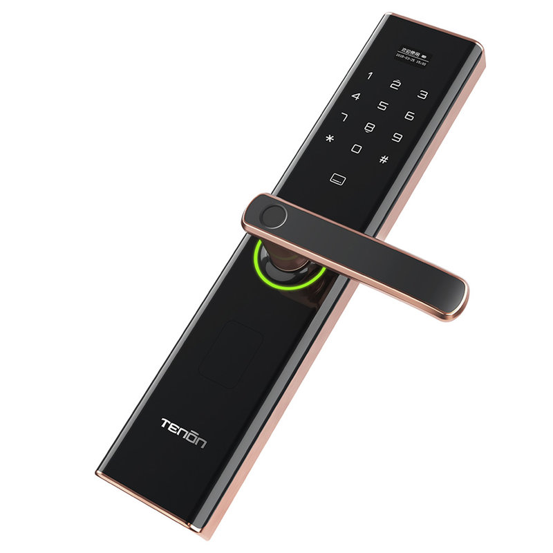 亚太天能指纹锁e5红古铜