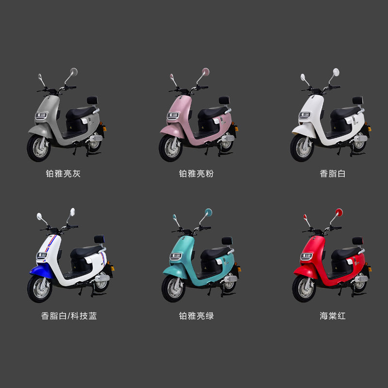 新日电动车莫林mqstb20080012dgk0科技蓝